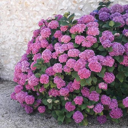 Gite La Fortaiserie Rillé Dış mekan fotoğraf
